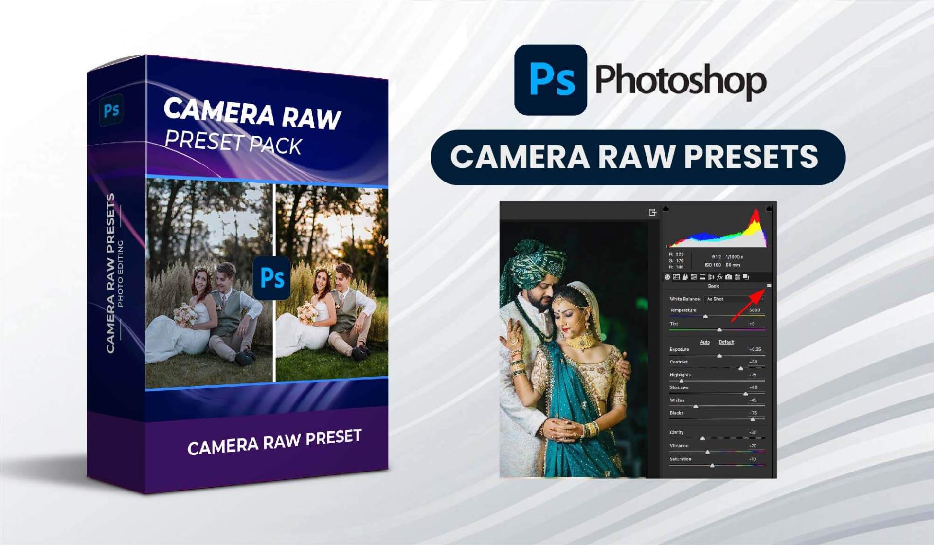 Camera Raw Presets
